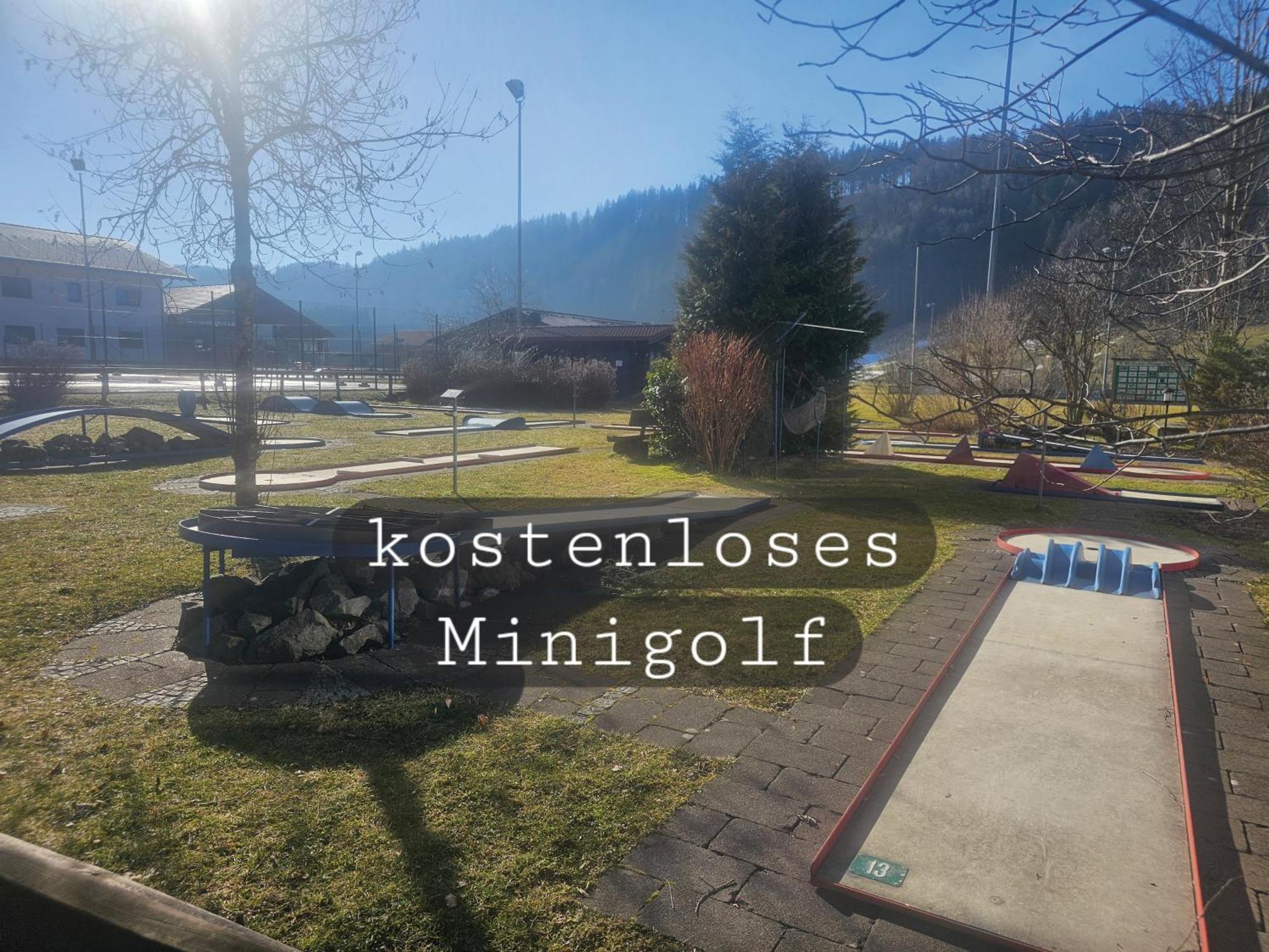 Sonnen-Juwel - Hallenbad-Sauna-2 Getrennte Schlafbereiche-Direkt An Der Skipiste Миссен-Вильхамс Экстерьер фото